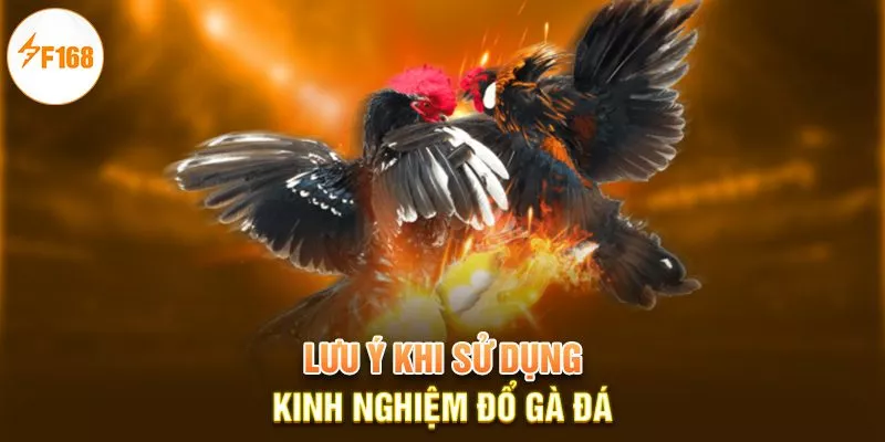 Lưu ý khi sử dụng kinh nghiệm đổ gà đá