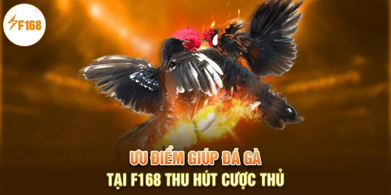 Ưu điểm giúp đá gà tại F168 thu hút cược thủ